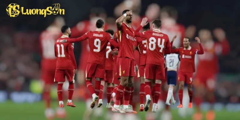 Liverpool Đấu Với Tottenham: Cơn Lốc Mạnh Mẽ Khiến Anfield Rung Động 6 Cody Gakpo mở đầu tỉ số